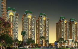 Sethi Venice